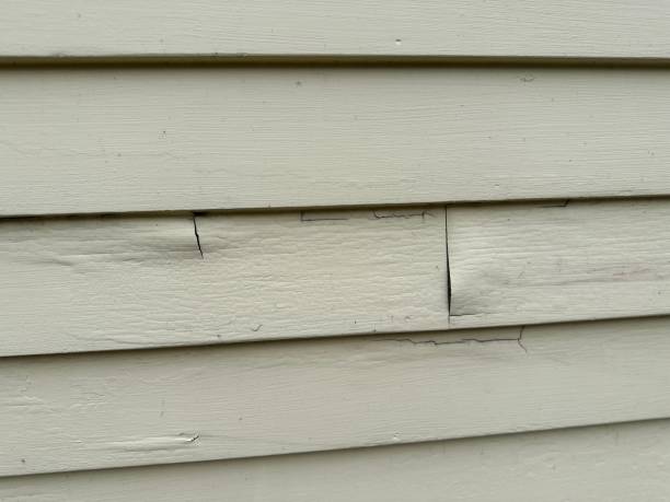 Trusted Garden City, ID Siding Installation & Repair Experts